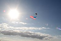 The Flag Over Florida